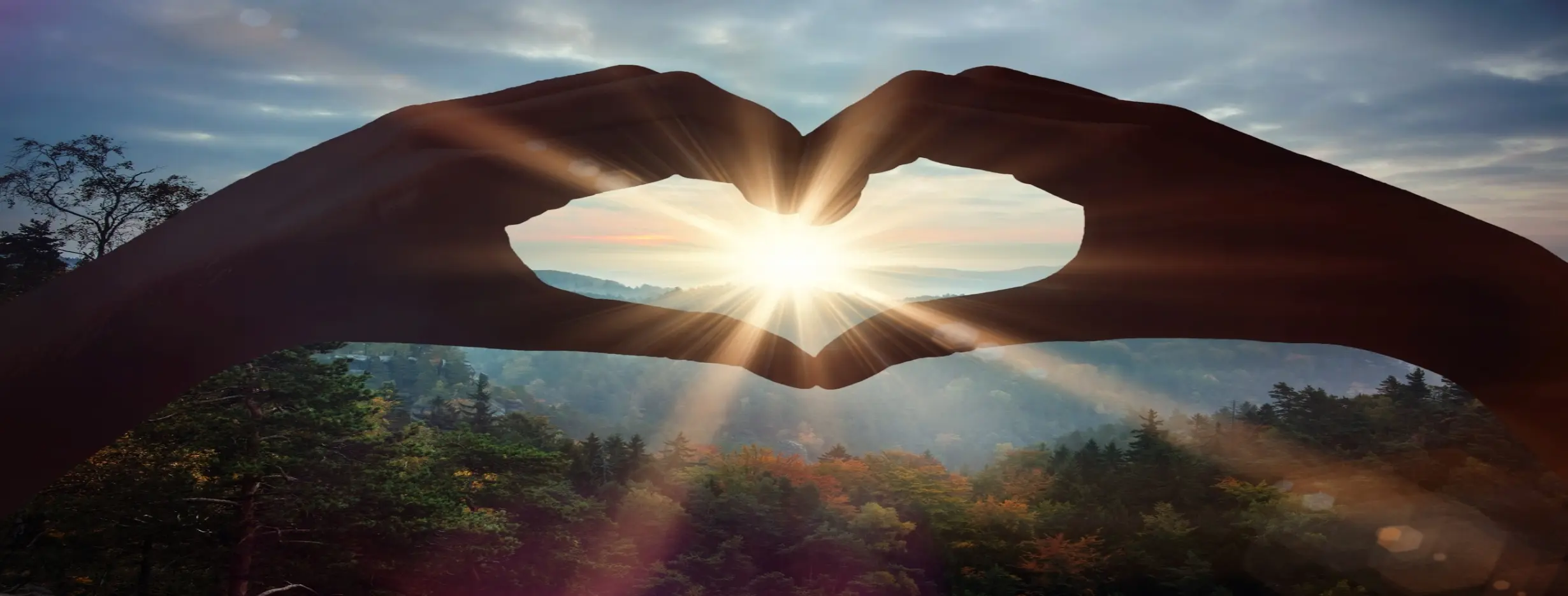 Image for A Retreat to the Heart of Nature